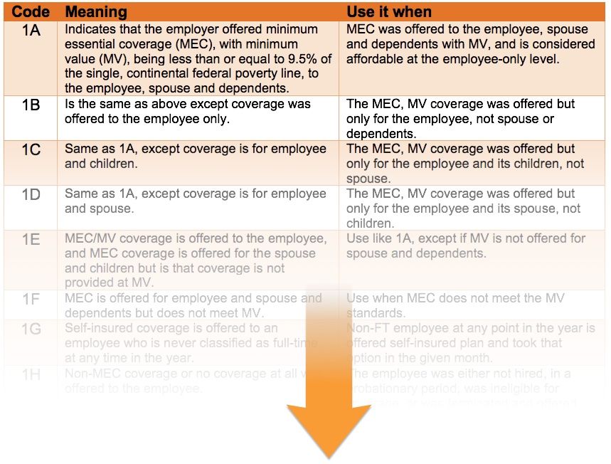 ACA Codes A 1095 Cheat Sheet You're Gonna Love!