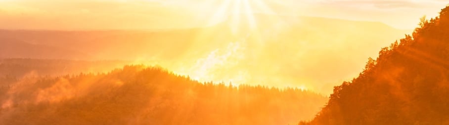Golden sunset above forest