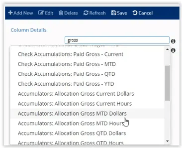 Report writer - iSolved 5.0.02